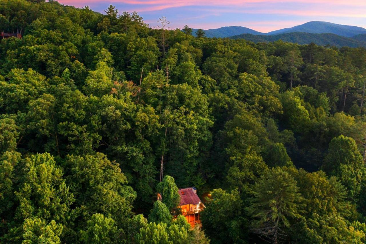 Cozy Cabin Retreat - Hot Tub, Fireplace & Fire Pit Blue Ridge Exterior foto